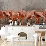 Φωτοταπετσαρια - Exotic Birds - Pink Flamingos With Shadow On Grey Concrete Background Αδιαβροχη 400x280cm