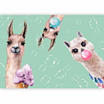 Φωτοταπετσαρια - Crazy Llamas Αδιαβροχη 250x175cm