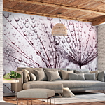 Φωτοταπετσαρια - Rainy Time Αδιαβροχη 350x245cm