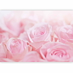 Φωτοταπετσαρια - Ocean Of Roses Αδιαβροχη 350x256cm