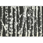 Φωτοταπετσαρια - Stately Birches - Second Variant Αδιαβροχη 150x105cm