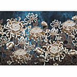 Φωτοταπετσαρια - Sea Flowers Αδιαβροχη 200x140cm
