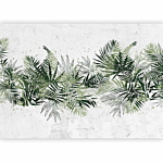 Φωτοταπετσαρια - Jungle And Green Plume - Large Tropical Leaves On A White Background Αδιαβροχη 350x245cm