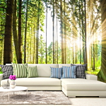 Φωτοταπετσαρια - Forest Tales Αδιαβροχη 200x140cm