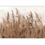 Φωτοταπετσαρια - Tall Grasses - Brown Αδιαβροχη 100x70cm