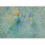 Φωτοταπετσαρια - Peacocks Dancing - Third Variant Αδιαβροχη 250x175cm