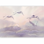 Φωτοταπετσαρια - Flying Swans Αδιαβροχη 250x175cm