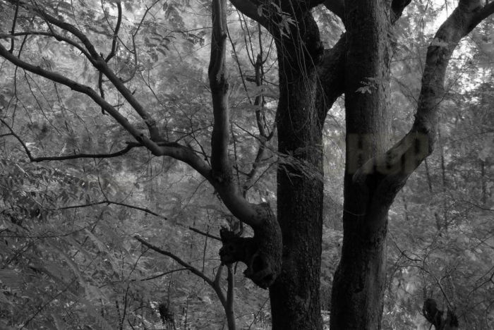 Ταπετσαρίες Τοίχου Σύγχρονες, Ρομαντικές, Κλασικές wallpapershop.gr