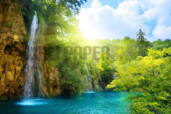 Ταπετσαρίες Τοίχου Σύγχρονες, Ρομαντικές, Κλασικές wallpapershop.gr