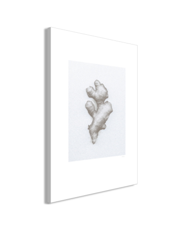 Πινακας Σε Καμβα - Ginger 1 Part Vertical Standard 20x30cm