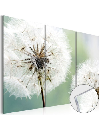 Πινακας Σε Ακρυλικο Γυαλι - Fluffy Dandelions 120x80cm