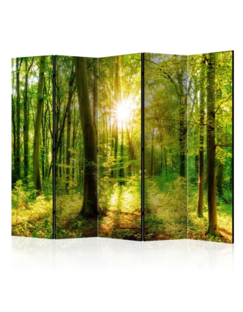 Διαχωριστικο Δωματιου - Forest Rays Ii Ηχοαπορροφητικο 225x172cm
