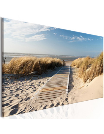 Πινακας Σε Καμβα - Wild Beach Premium Print 120x40cm