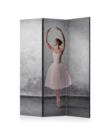 Διαχωριστικο Δωματιου - Ballerina In Degas Paintings Style Ηχοαπορροφητικο 135x172cm