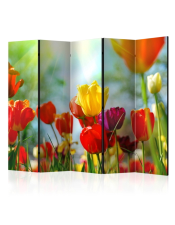 Διαχωριστικο Δωματιου - Spring Tulips Ii Ηχοαπορροφητικο 225x172cm