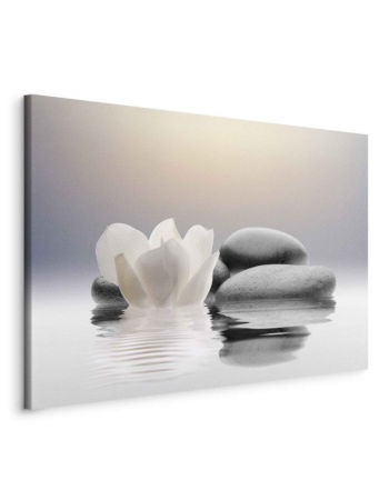 Πινακας Σε Καμβα - Garden Of Calm Premium Print 120x80cm