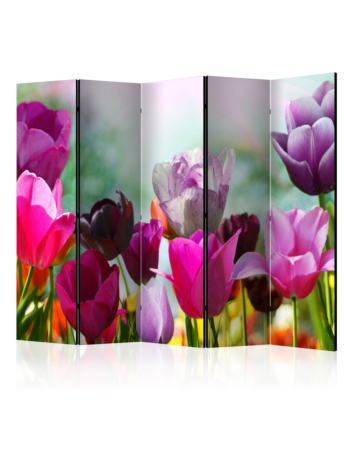 Διαχωριστικο Δωματιου - Beautiful Tulips Ii Ηχοαπορροφητικο 225x172cm