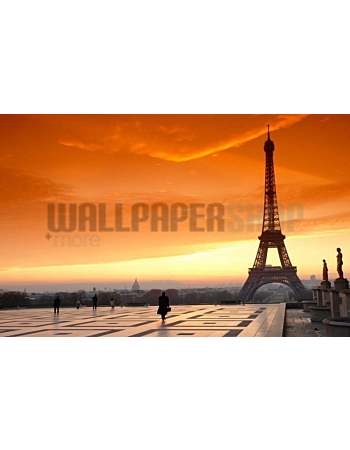 Φωτοταπετσαρια Τοιχου Digital Walls Eiffel Tower III