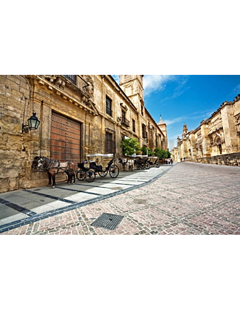 Φωτοταπετσαρίες τοίχου Wallpapershop.gr
