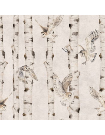 Birch and Owls Ταπετσαρια Τοιχου Υπολευκο