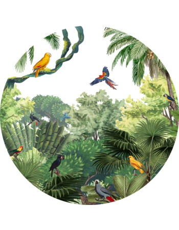 Canopy Jungle Ταπετσαρια Τοιχου Πρασινο Στρογγυλη Διαφορα Μεγεθη
