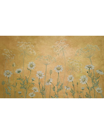 Dazzling Daisies Ταπετσαρια Τοιχου Πορτοκαλι