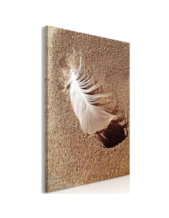 Πινακας Σε Καμβα - Feather On The Sand 1 Part Vertical Premium Print 20x30cm