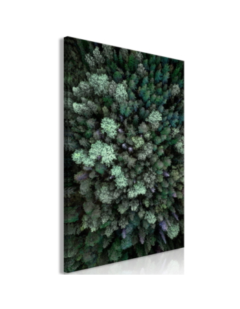 Πινακας Σε Καμβα - Flying Over Forest 1 Part Vertical Premium Print 40x60cm