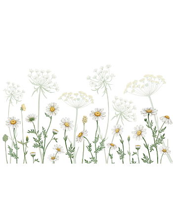 Dazzling Daisies Ταπετσαρια Τοιχου Λευκο