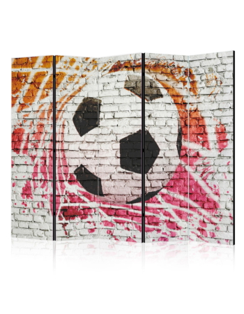 Διαχωριστικο Δωματιου - Street Football Ii Ηχοαπορροφητικο 225x172cm