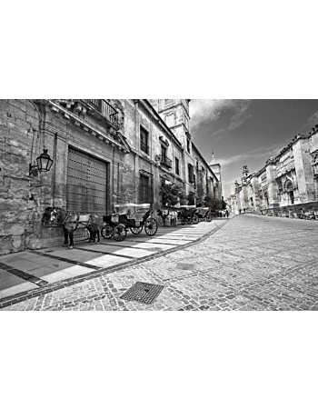 Φωτοταπετσαρίες τοίχου Wallpapershop.gr