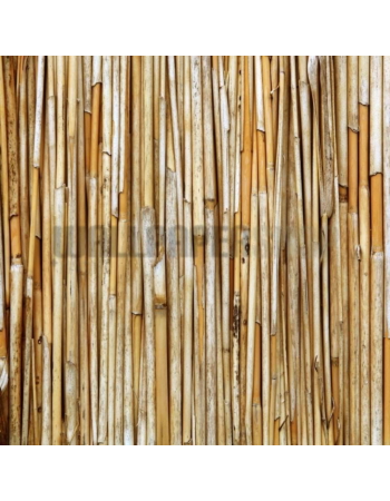 Φωτοταπετσαρίες τοίχου Wallpapershop.gr