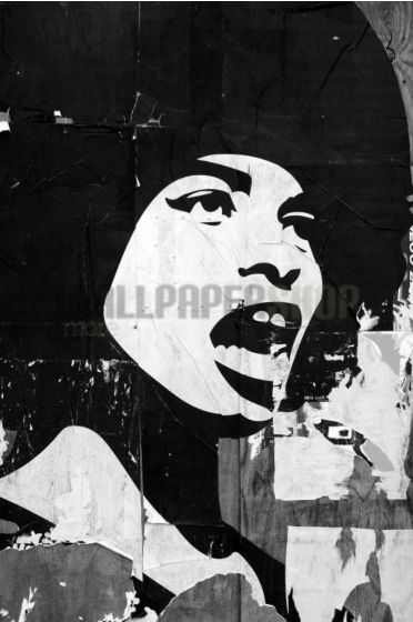 Ταπετσαρίες Τοίχου Σύγχρονες, Ρομαντικές, Κλασικές wallpapershop.gr