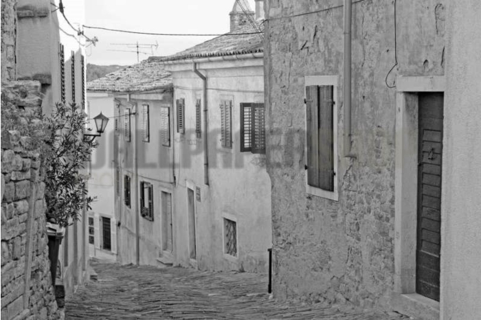 Ταπετσαρίες Τοίχου Σύγχρονες, Ρομαντικές, Κλασικές wallpapershop.gr