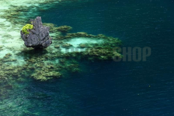 Ταπετσαρίες Τοίχου Σύγχρονες, Ρομαντικές, Κλασικές wallpapershop.gr