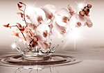 Φωτοταπετσαρια - Touch Of Tenderness Αδιαβροχη 200x140cm
