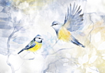Φωτοταπετσαρια - Watercolor Tit - First Variant Αδιαβροχη 450x315cm