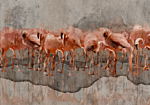 Φωτοταπετσαρια - Exotic Birds - Pink Flamingos With Shadow On Grey Concrete Background Αδιαβροχη 400x280cm