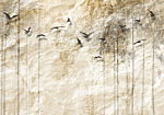 Φωτοταπετσαρια - Paper World Αδιαβροχη 350x256cm