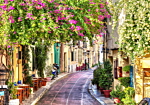 Φωτοταπετσαρια - Tuscan Nooks And Crannies Αδιαβροχη 400x280cm
