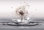 Φωτοταπετσαρια - Wind Drops Αδιαβροχη 350x245cm