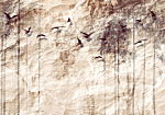 Φωτοταπετσαρια - Paper Nature Αδιαβροχη 450x315cm