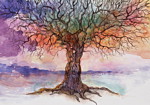 Φωτοταπετσαρια - Colorful Nature Stories Αδιαβροχη 100x70cm