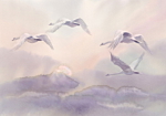 Φωτοταπετσαρια - Flying Swans Αδιαβροχη 250x175cm