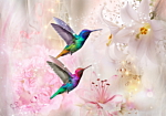 Φωτοταπετσαρια - Colourful Hummingbirds (pink) Αδιαβροχη 400x280cm