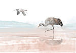 Φωτοταπετσαρια - Cranes Over The Water Αδιαβροχη 400x280cm