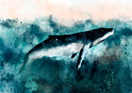 Φωτοταπετσαρια - Underwater Life Αδιαβροχη 400x280cm
