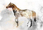 Φωτοταπετσαρια - Fiery Steed Αδιαβροχη 400x280cm