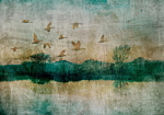 Φωτοταπετσαρια - Golden Ducks Αδιαβροχη 200x140cm