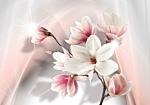 Φωτοταπετσαρια - White Magnolias Αδιαβροχη 100x70cm